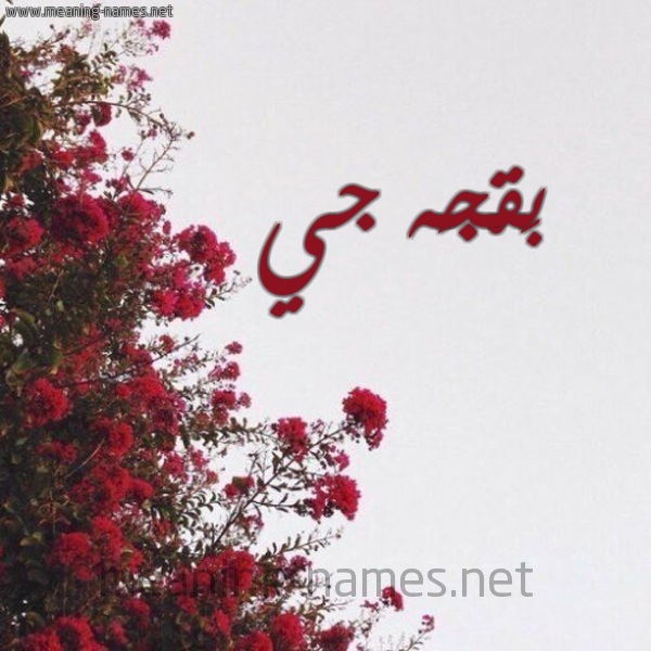 شكل 18 صوره الورد الأحمر للإسم بخط رقعة صورة اسم بَقْجَه جي BAQGAH-GI